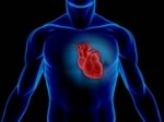 Новозеландские ученые разработали беспроводной сердечный насос